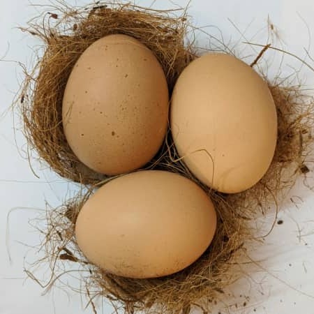 Nome: Uova Fresche – Mini Pack (6 Uova)