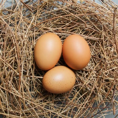 Uova Fresche – Standard Pack (8 Uova)